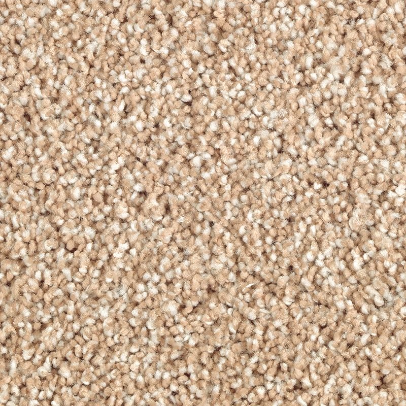 Natural Refinement I Maple Tint Triexta Carpet - Textured