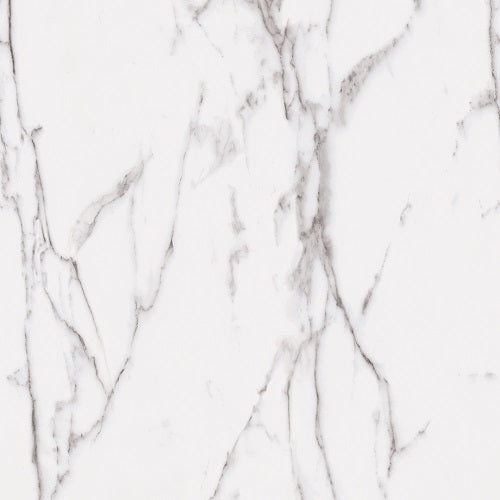 Statuary White Porcelain Tile - Unpolished