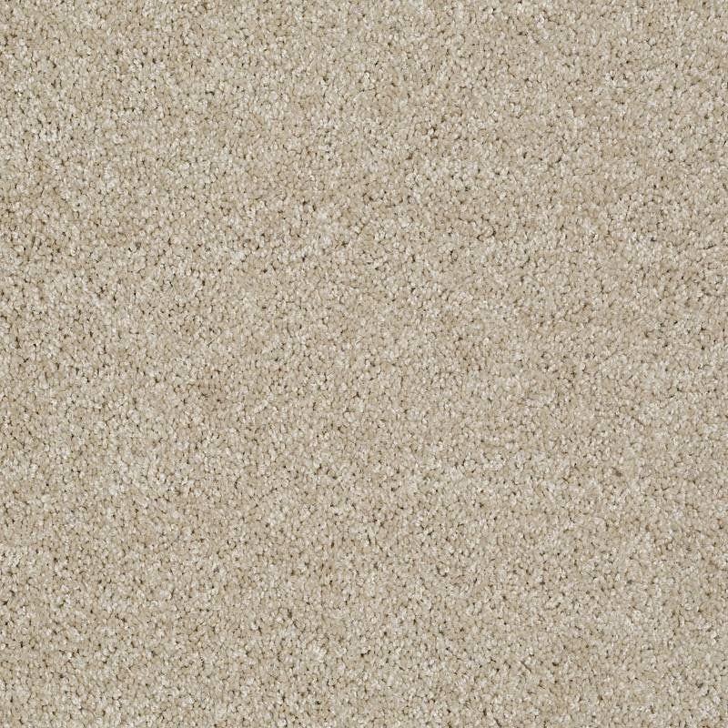 Adam's Choice (S) Cottage Nylon Carpet - Textured