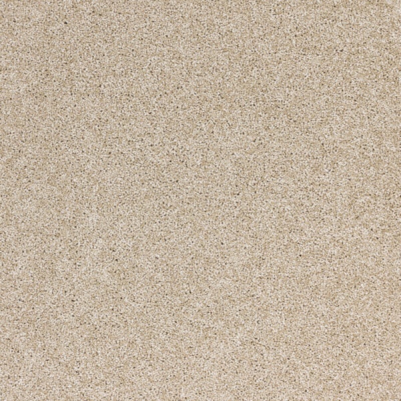 Radiant Beauty Essence Polypropylene Carpet - Textured