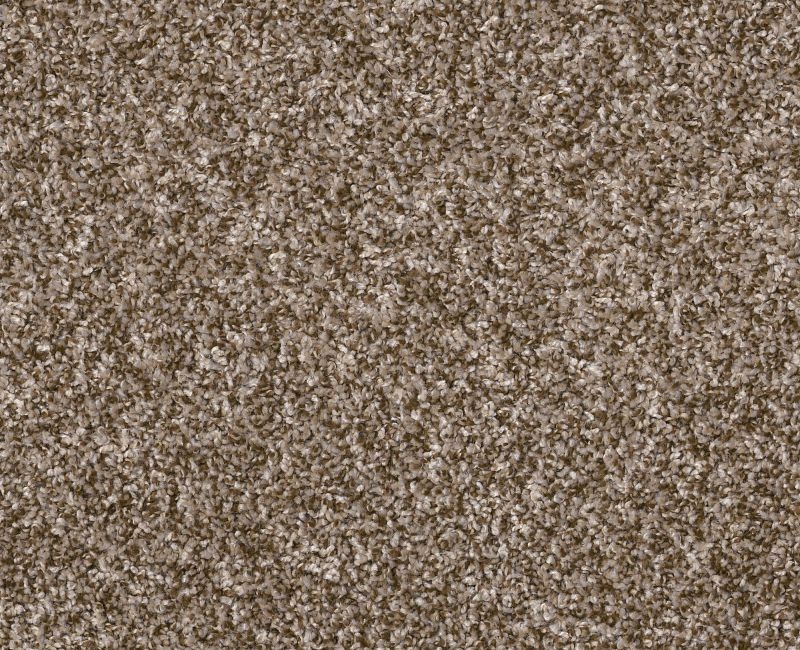 Go All Out Bits Of Brown Polyester Carpet - Textured