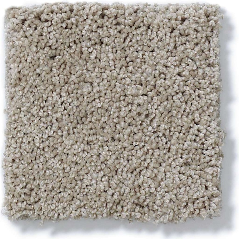Soft Shades My Choice I Latte Nylon Carpet - Textured