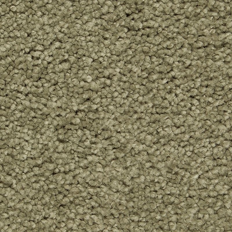 Pleasant Touch Valley Fog Triexta Carpet - Textured