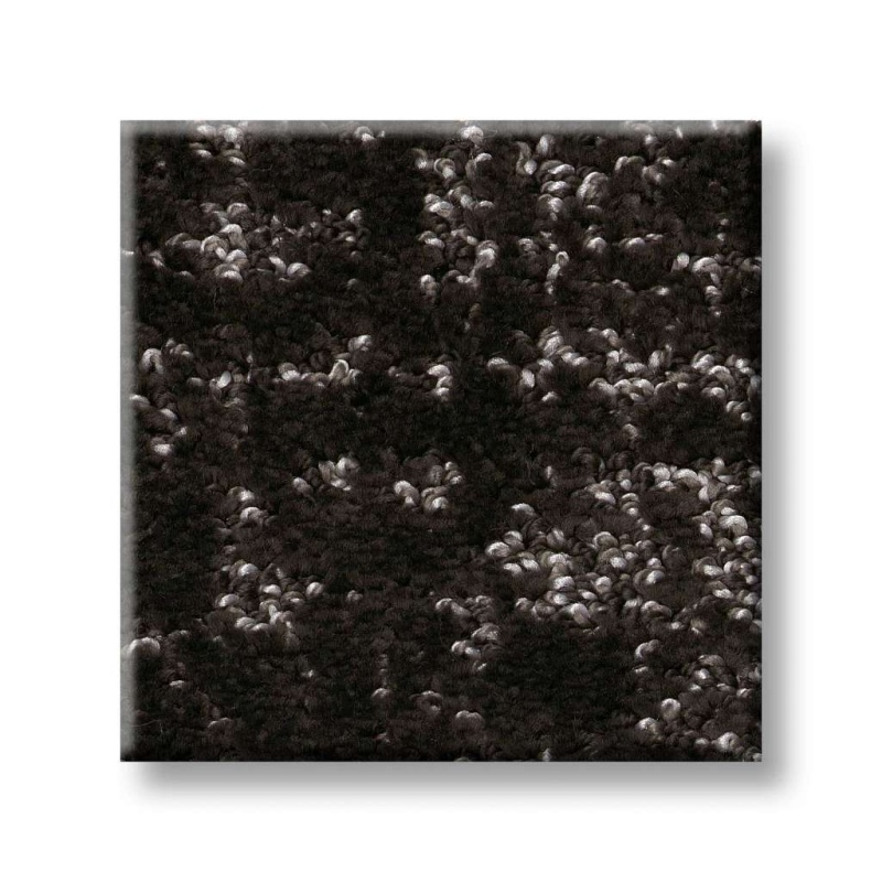 Pet Perfect Plus Home Within Cafe Noir Polyester Carpet Pattern