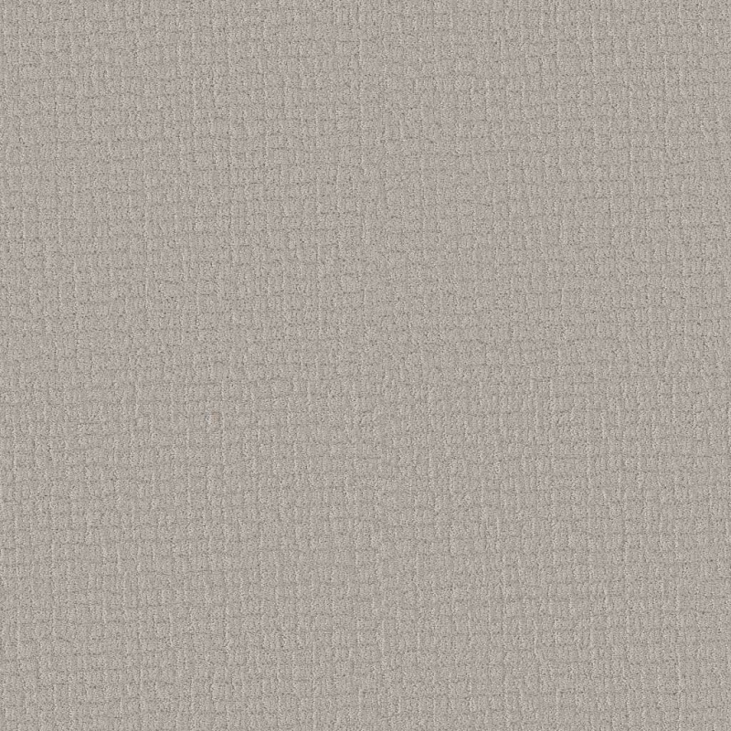 Path Home Rock Crystal Polyester Carpet - Pattern