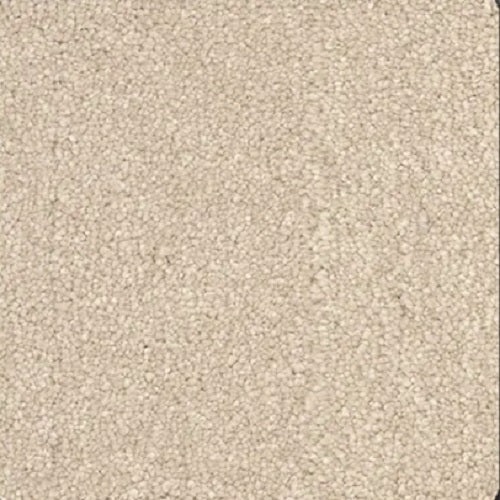 Magic Moment Ii Coastal Polyester Carpet - Textured