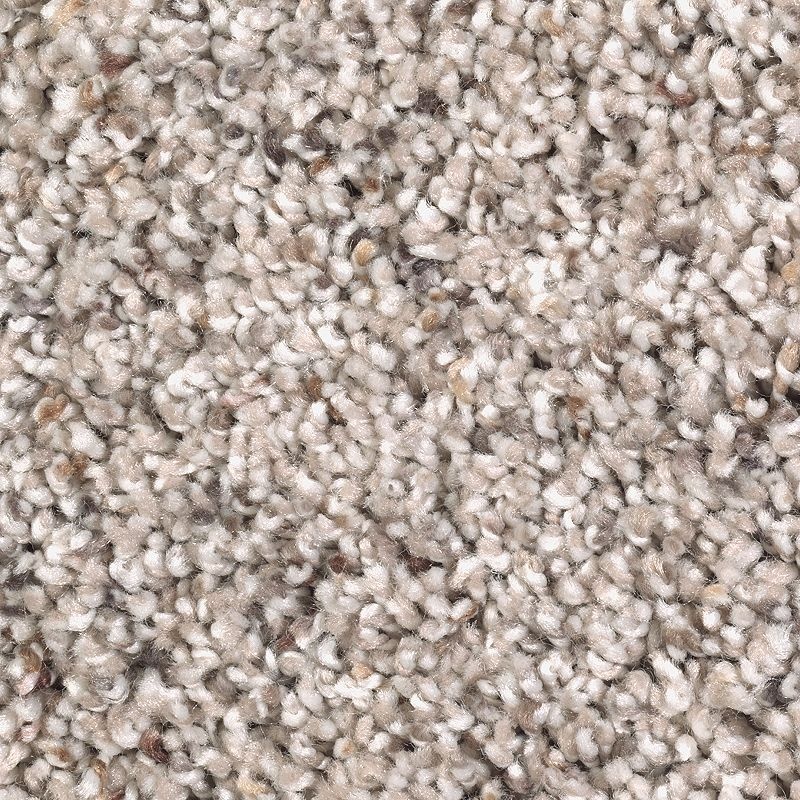 Soft Sensations I Almond Latte Polyester Carpet - Textured