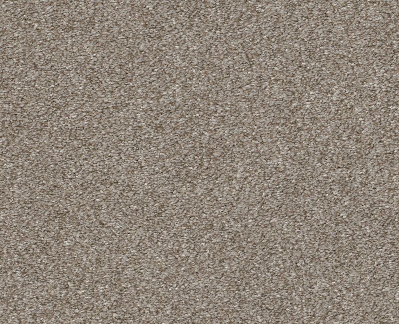 Finders Keepers Winter Dunes Polyester Carpet - Loop