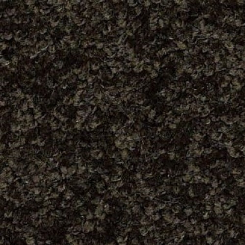 Izzy Bristol Nylon Carpet - Textured