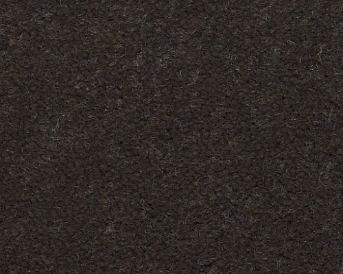 Emphatic II 30 Brocade Nylon Carpet - Textured