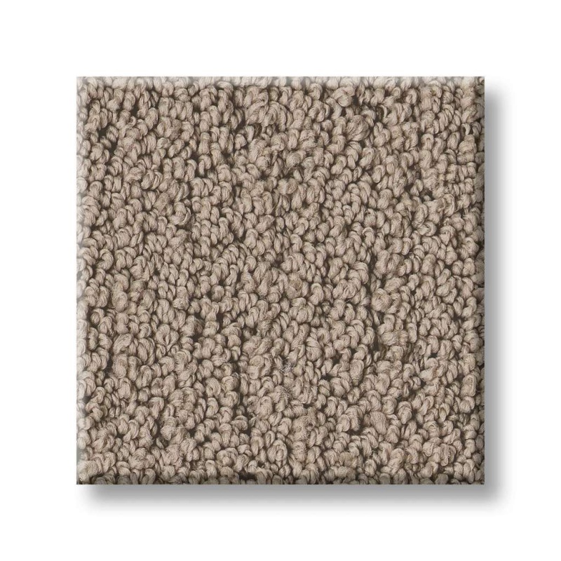Pet Perfect Intricate Trace Cameo Polyester Carpet - Pattern