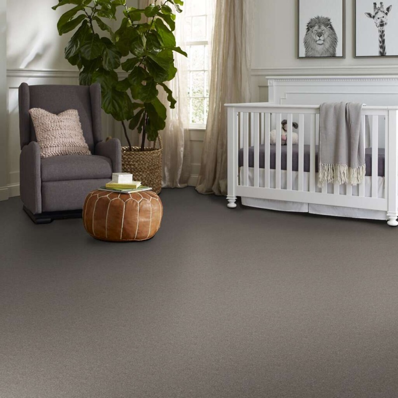 Caress By Shaw Quiet Comfort Classic Ii Barnboard Nylon Carpet - Textured