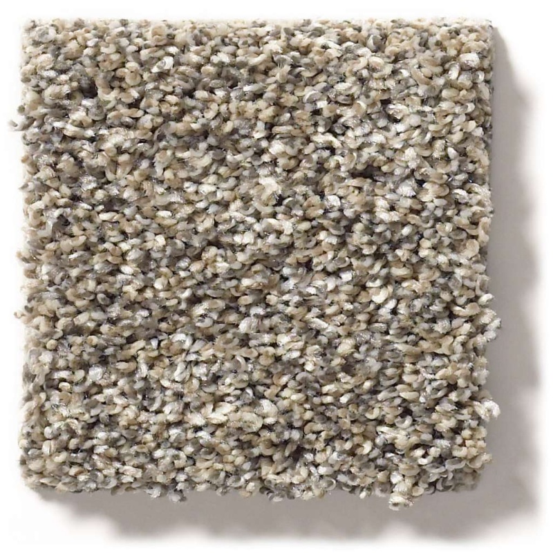 Simply The Best After It Ii Pebble Walk Polyester Carpet - Textured
