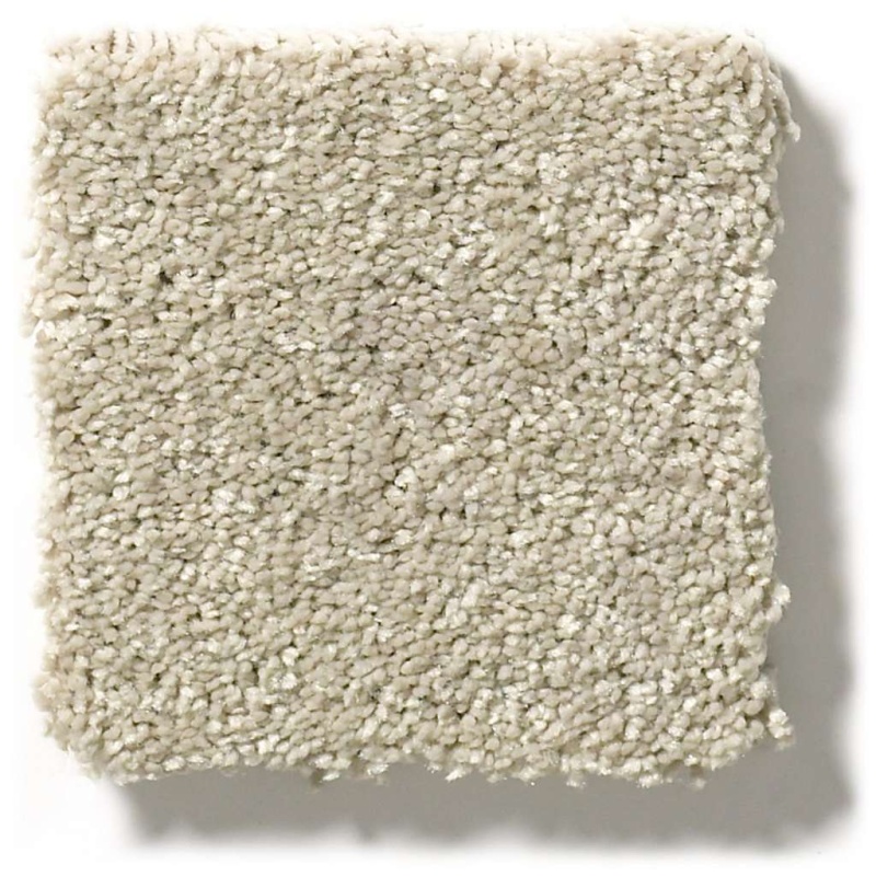 Pet Perfect Plus Basic Rules Vicuna Polyester Carpet - Textured