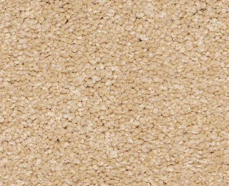 Qs160 15' Cornfield Nylon Carpet - Textured
