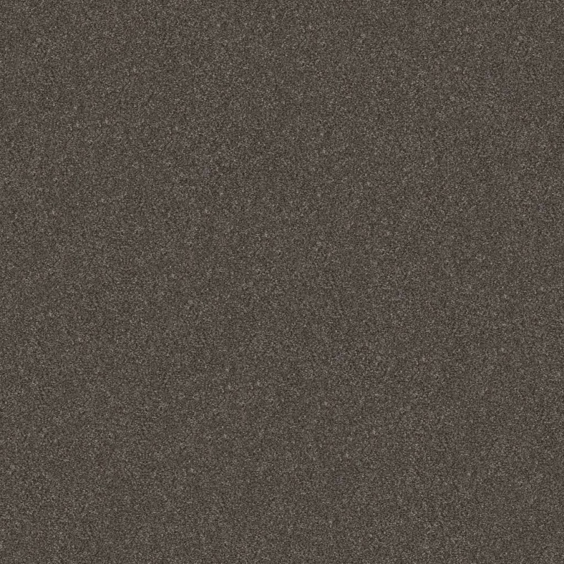 Simply The Best Without Limits Ii Derby Polyester Carpet - Textured