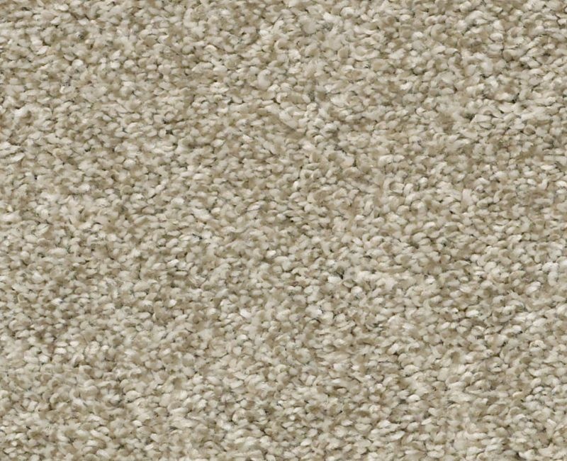 You Got It Ii Latte Polyester Carpet - Textured