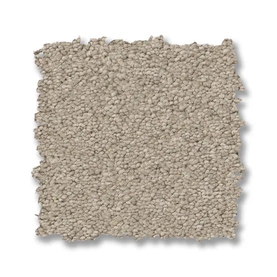 Enchanting Sandshell Nylon Carpet - Textured