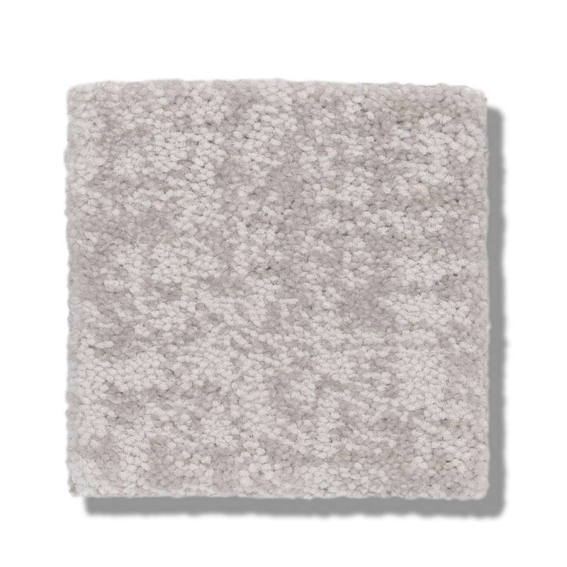 Caress By Shaw Fine Structure Minimal Nylon Carpet - Pattern