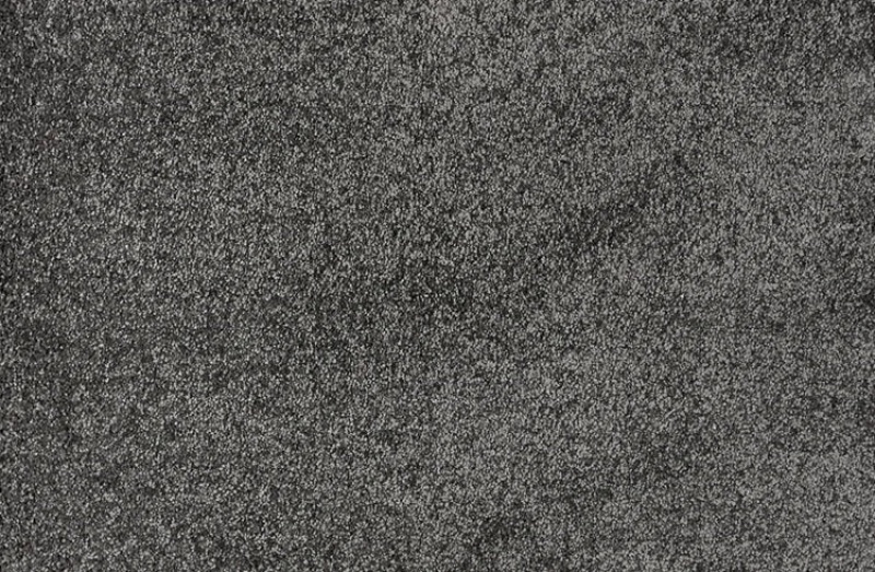 Pet Guard Noble Iron Solution Dyed Polyes Carpet - Loop