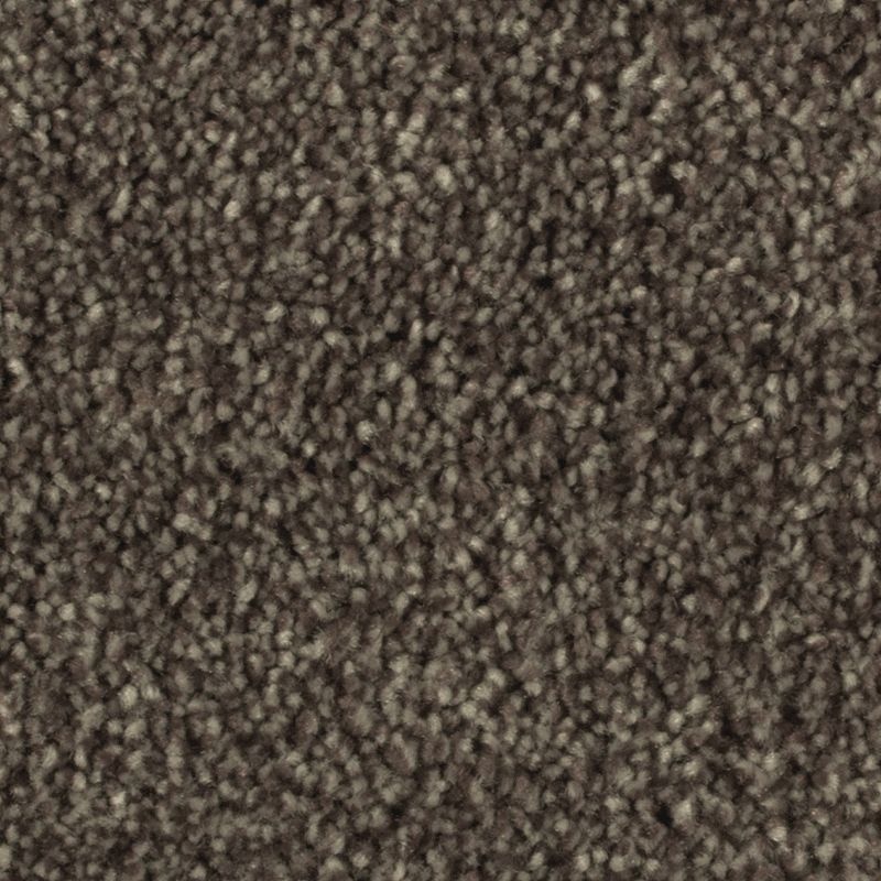 Distinct Beauty Ii Castile Polyester Carpet - Textured
