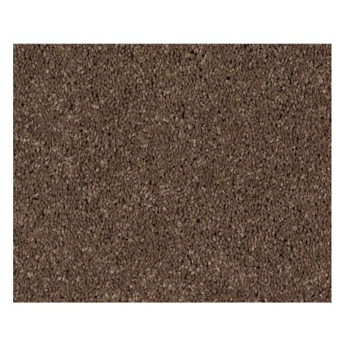 Pelotage I Pebble Creek Nylon Carpet - Textured