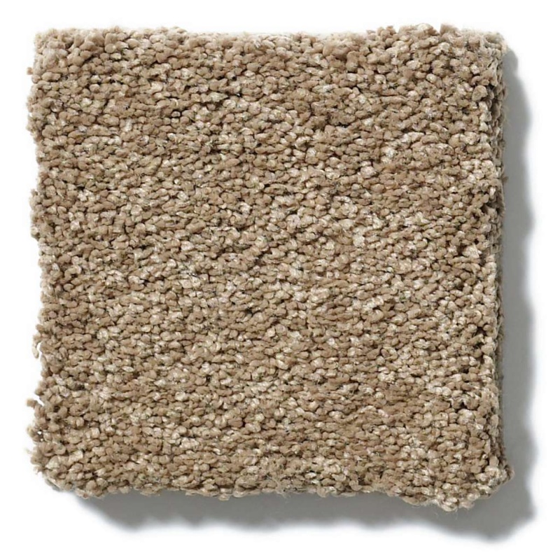 Caress By Shaw Quiet Comfort Classic I Pebble Path Nylon Carpet - Textured