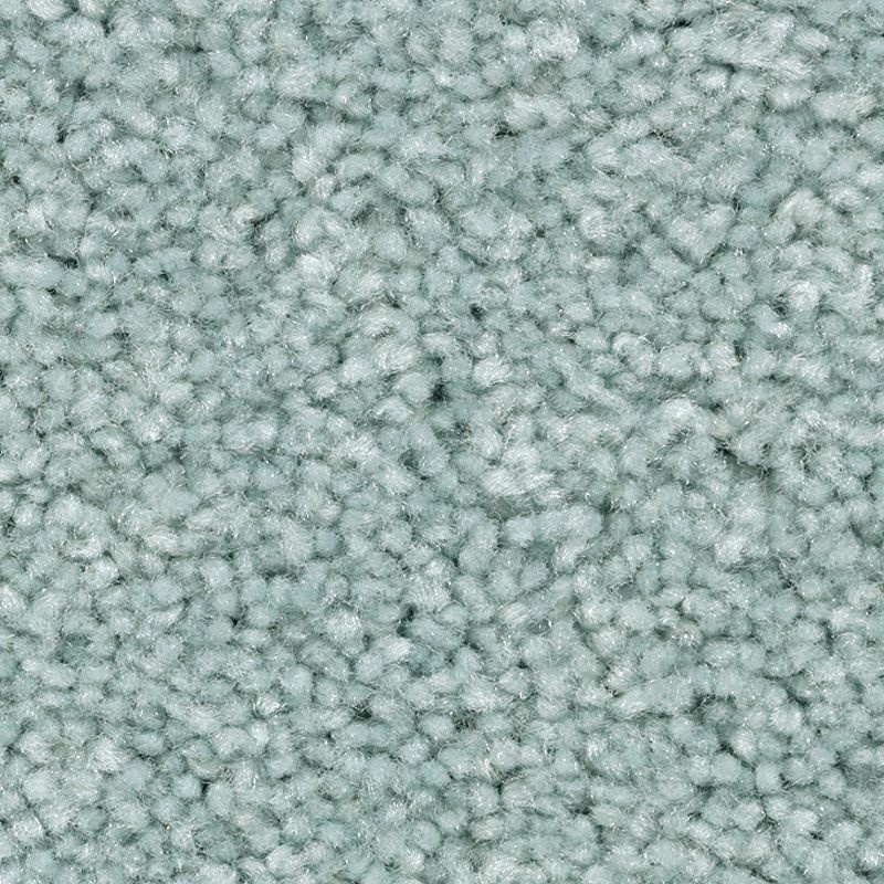 Treasure Valley Spring Frost Polyester Carpet - Textured