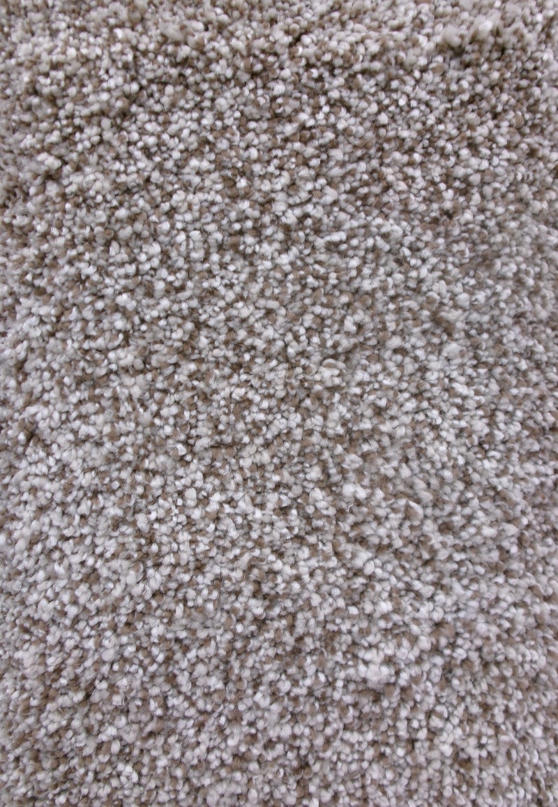 Everest Mesa Polyester Carpet - Textured