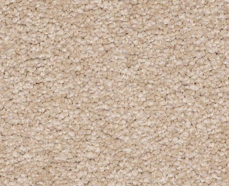 Qs160 15' Adobe Nylon Carpet - Textured