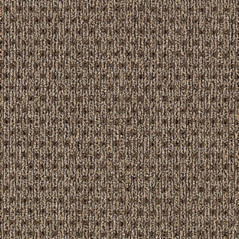 True Form Natural Harmony Nylon Carpet - Loop
