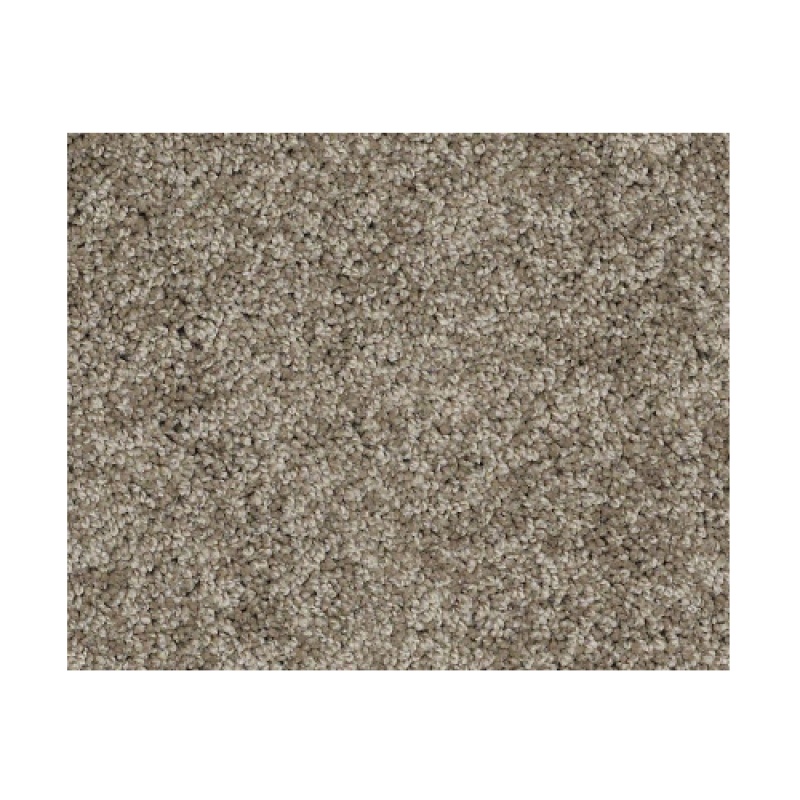 Butterfly Kisses 1 Vintage Nylon Carpet - Textured