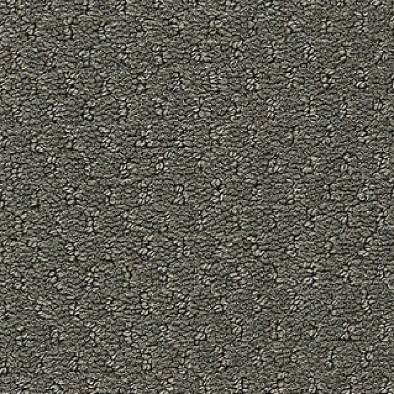 Influencer Classic Update Tin Foil Nylon Carpet - Loop