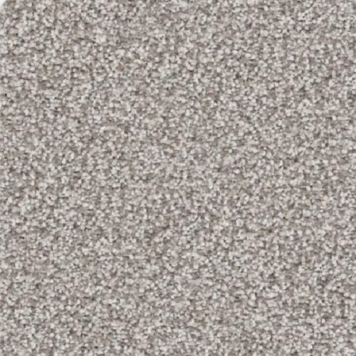 Rainier Olympia Polyester Carpet - Textured