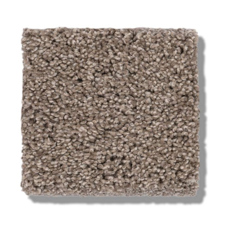 Caress By Shaw Cozy Harbor Ii Tumbleweed Nylon Carpet - Textured