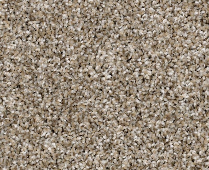 Weathered Polyester Carpet - Textured
