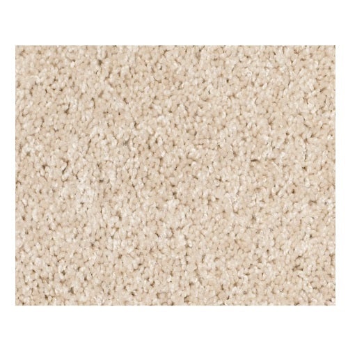 Vermont (S)12' Sand Dollar Nylon Carpet - Textured