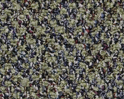 Change In Attitude Broadloom Game Up Nylon Carpet - Loop