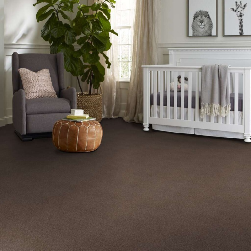 Caress By Shaw Quiet Comfort Classic Iii Spring Wood Nylon Carpet - Textured
