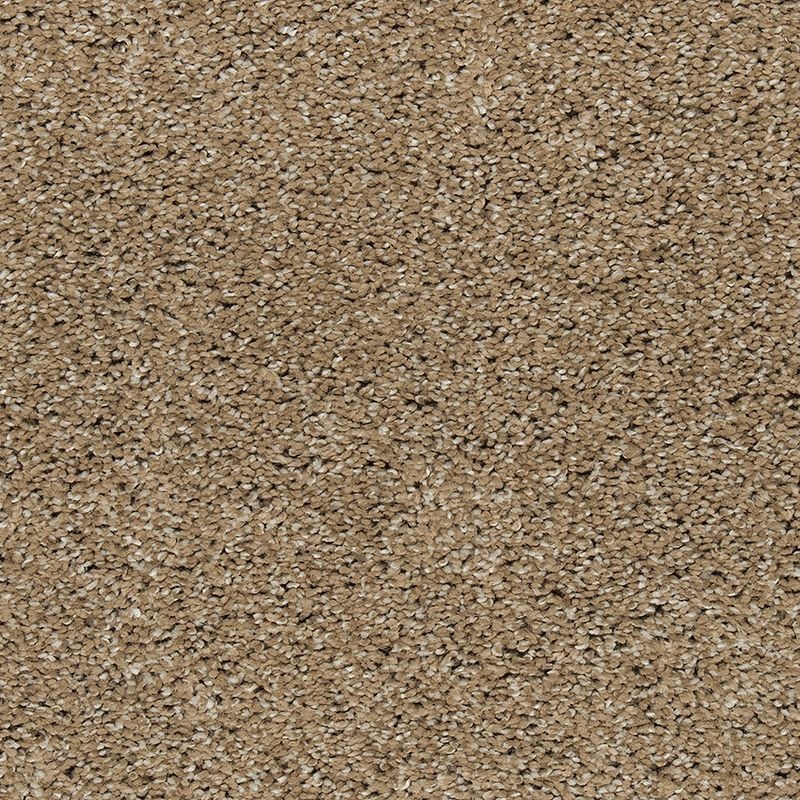 Natural Refinement I Hearth Beige Triexta Carpet