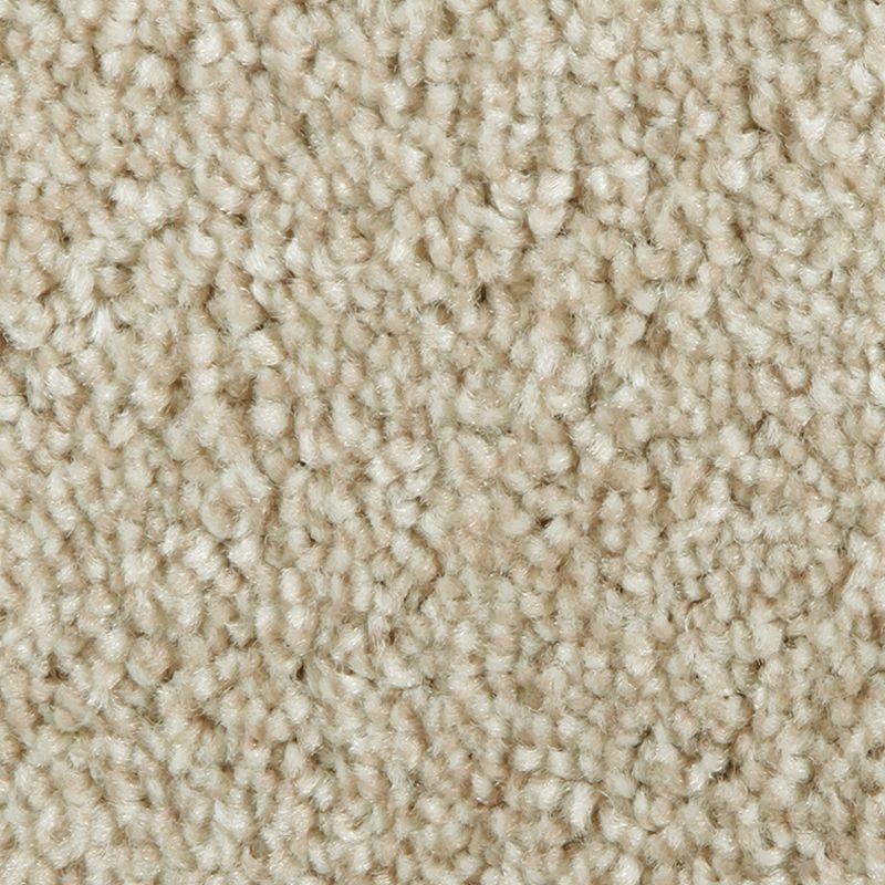 Distinct Beauty I Dunedrift Polyester Carpet - Textured