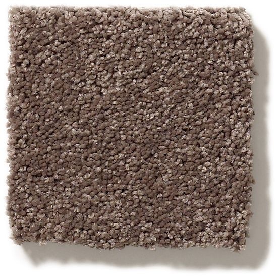 Free Form Chantrelle Nylon Carpet - Textured
