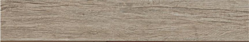 Alpi Tortora Porcelain Tile - Natural - 12" X 48"