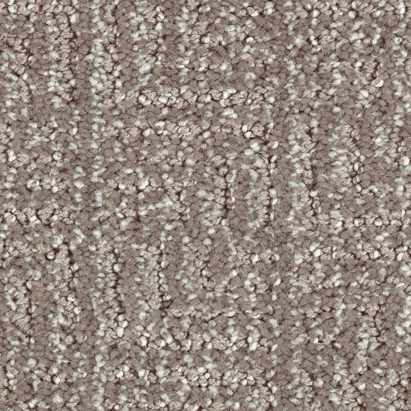 Natural Treasure Evening Shadow Triexta Carpet - Pattern