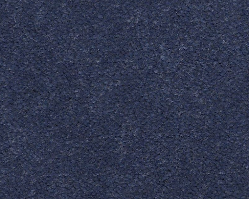 Emphatic Ii 30 Moonshadow Nylon Carpet - Textured