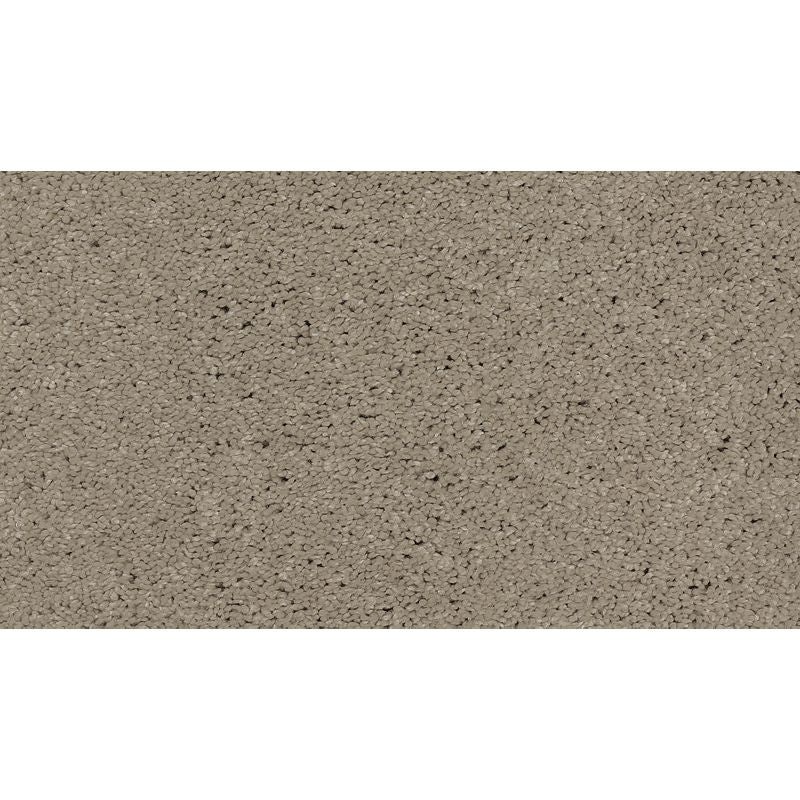 Soft Edition Ii Saltwater Taffy Polyester Carpet - Textured