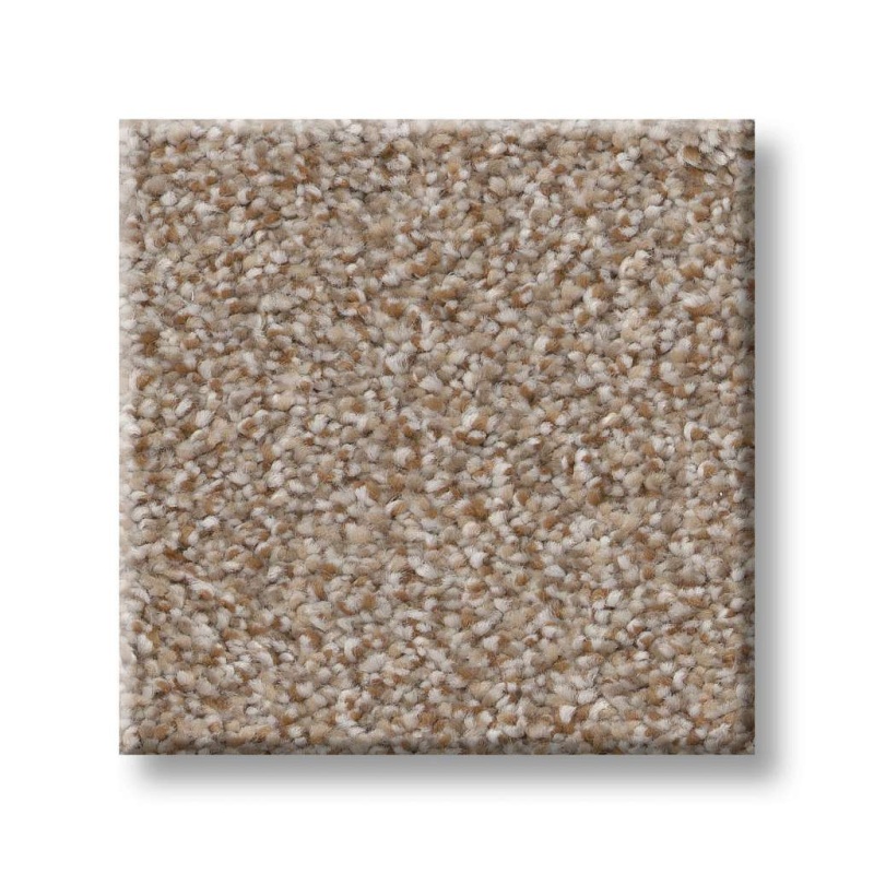 Simply The Best Values Trusplendor Cottage Polyester Carpet - Textured