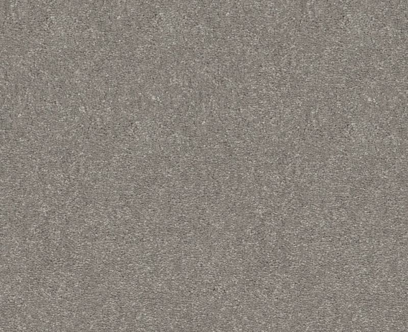 Relentless I 12 Taupe Stone Polyester Carpet - Loop