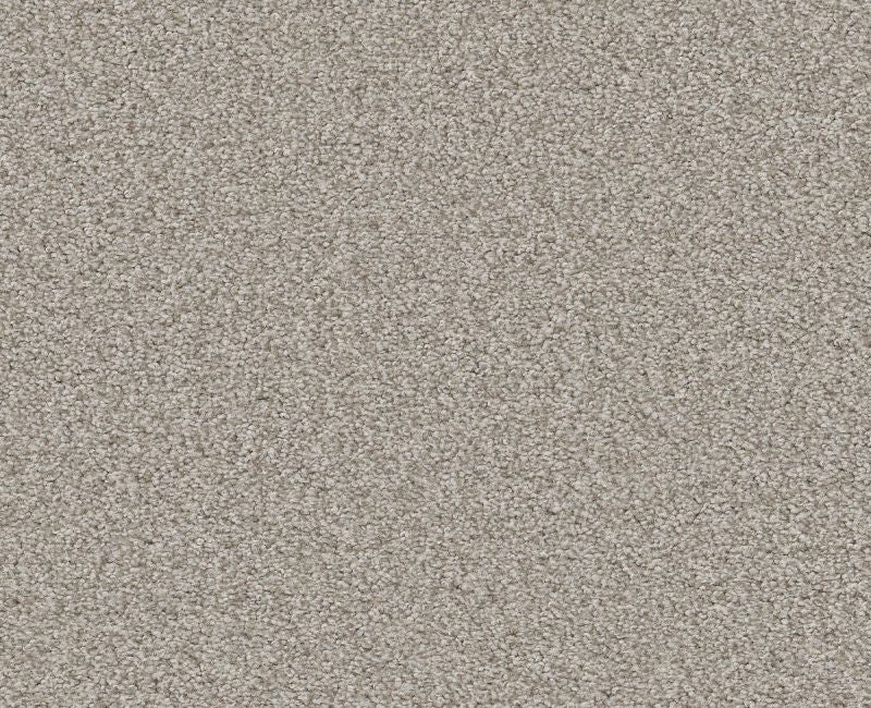 Memorable I Baltic Stone Nylon Carpet - Loop