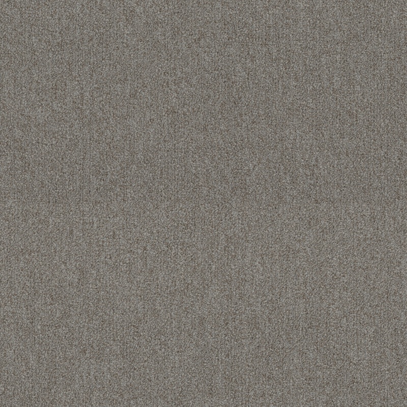 Profusion 20 Plenitude Polyester Carpet - Textured